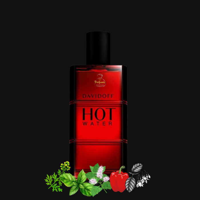 Davidoff Hot Water